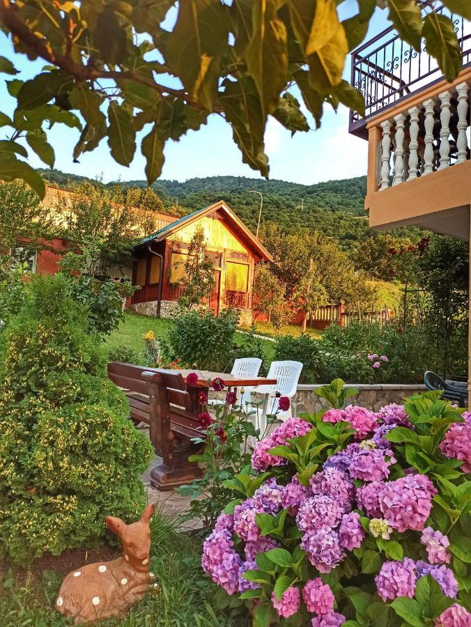 Apartment Lakeview Plužine Εξωτερικό φωτογραφία